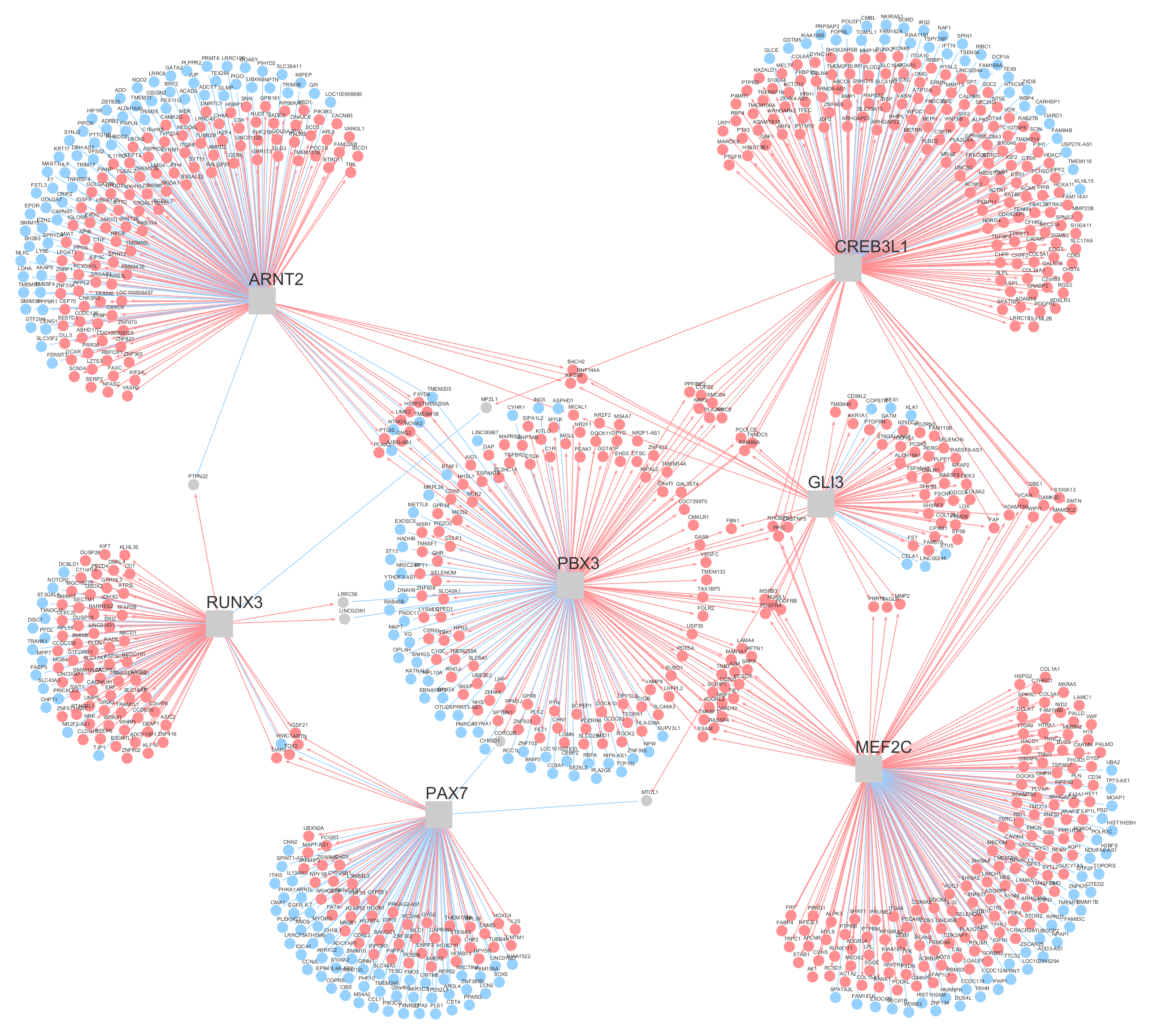 Analysis of biological networks