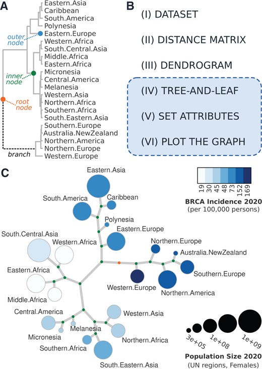 <i>TreeAndLeaf</i>: an R/Bioconductor package for graphs and trees with focus on the leaves