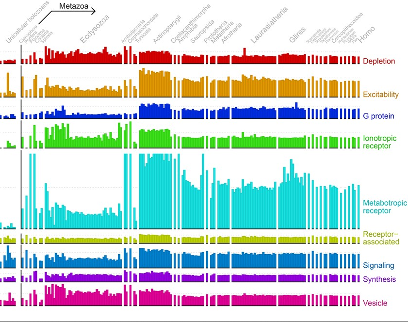 Evolution of biological systems