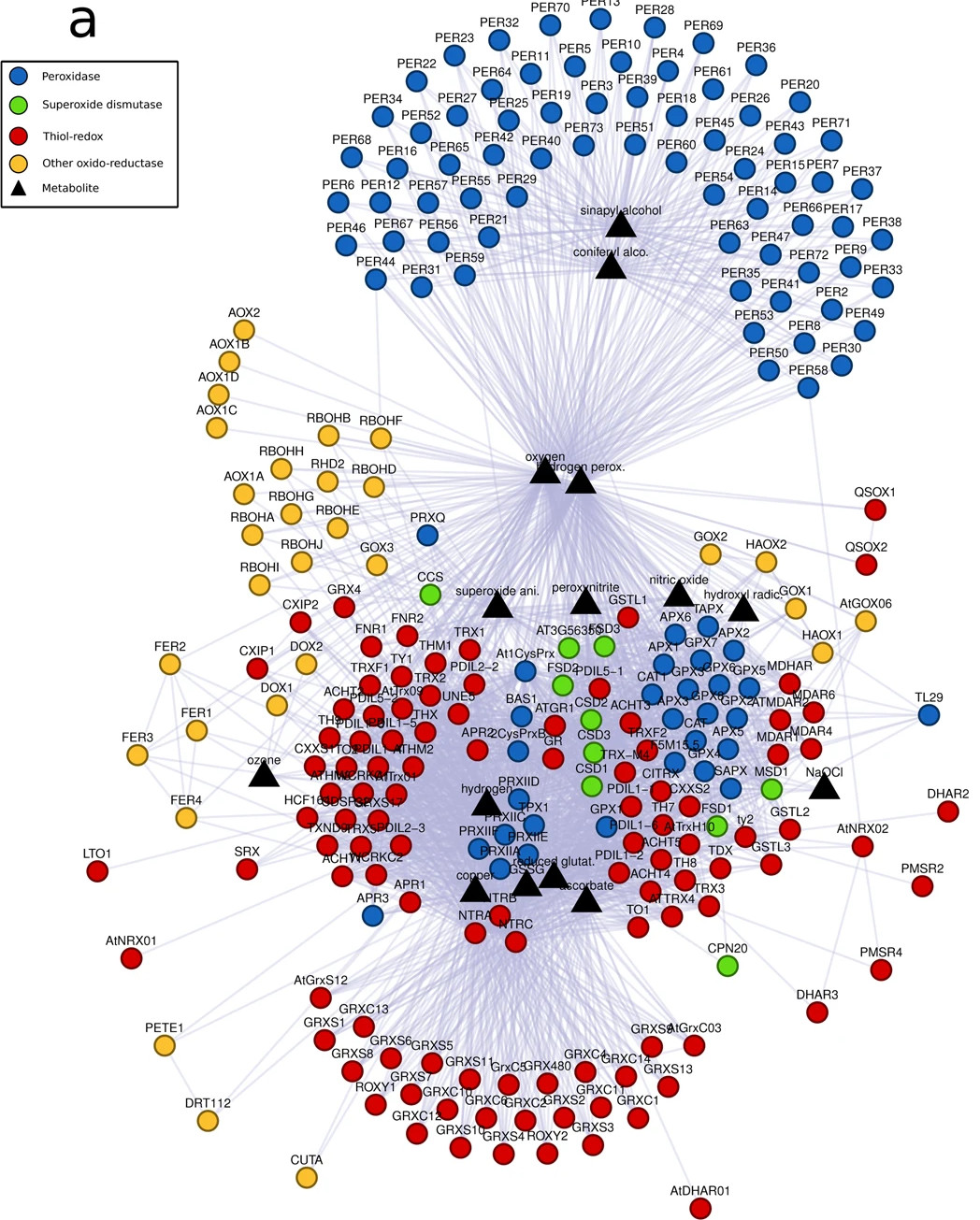 From Oliveira et al., 2019. *Arabidopsis thaliana* redox protein-protein interaction network.