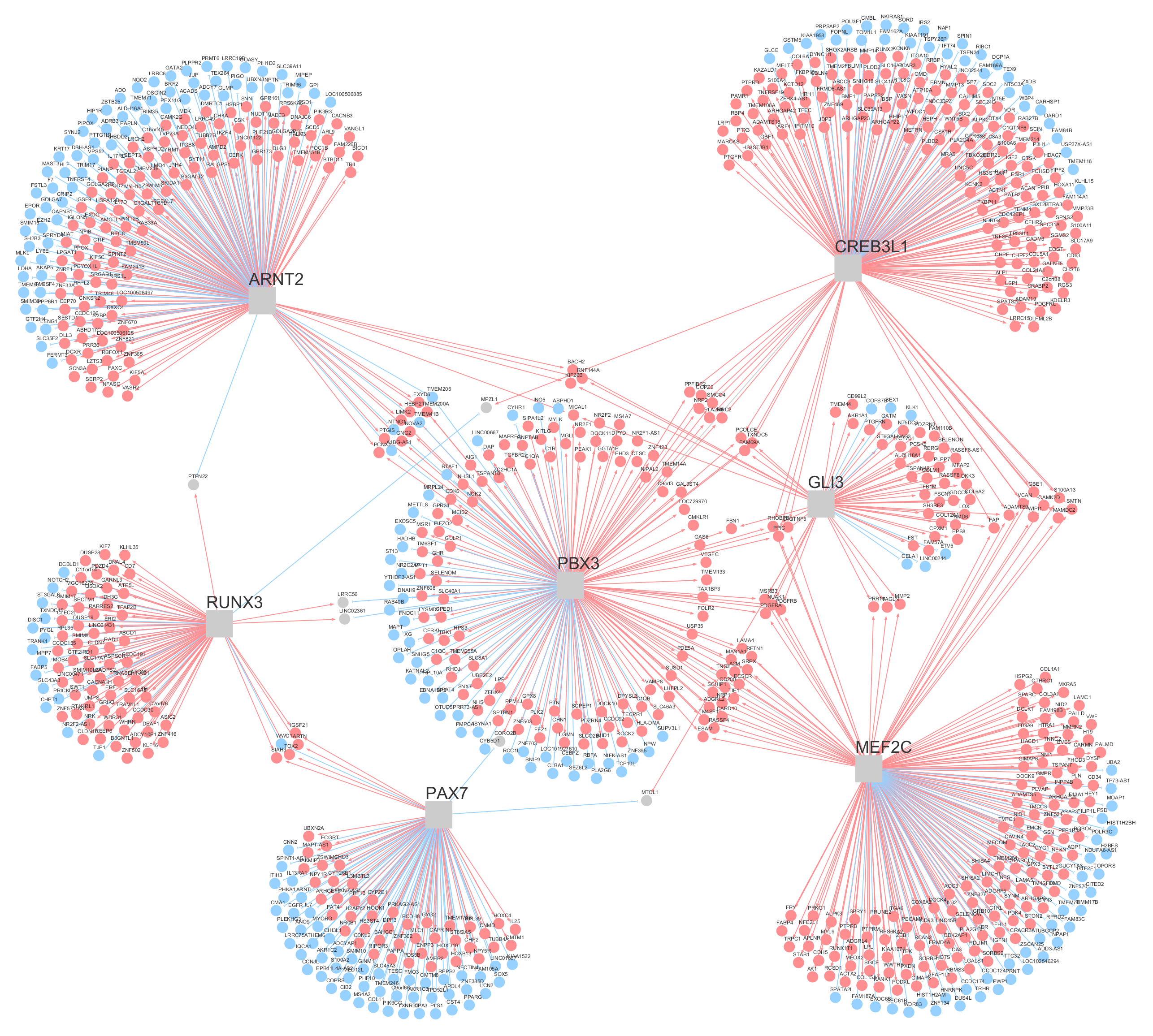 From Ribeiro-Dantas et al, 2021. Regulatory map (TF-centric regulatory network) of the seven common master regulators in network 1 (GSE34620). Gray squares are transcription factors (TFs) that are here inferred as mater regulators (MRs) and circles are genes regulated by at least one of the seven MRs. The edges indicate regulation and the color of the edge indicates the type of regulation (red for positive regulation, activation, and blue for negative regulation, inhibition). The circles follow the same color scheme, except that whenever a gene is positively regulated by one TF and negatively regulated by another TF, it is colored gray.