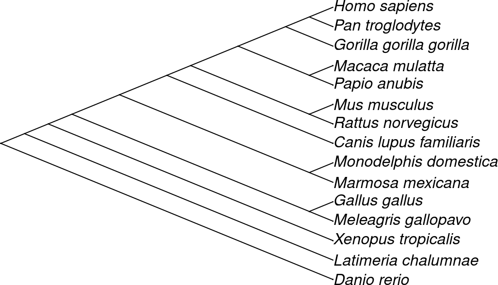 geneplast.data