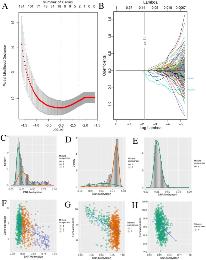 A Prognostic Methylation-Driven Two-Gene Signature in Medulloblastoma